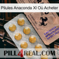 Pilules Anaconda Xl Où Acheter 41